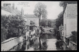 77 - NEMOURS - Les Petits Fossés Et Le Sully - Nemours