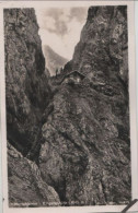 71775 - Höllentalklamm - Eingangshütte - Ca. 1955 - Höllental