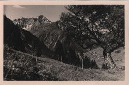 55029 - Österreich - Mittelberg - Mit Widderstein - Ca. 1960 - Bregenz