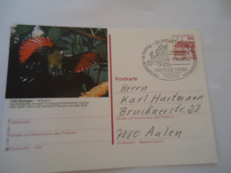 GERMANY    POSTAL CARDS   STUTTGART    BIRD BIRDS EAGLES - Adler & Greifvögel