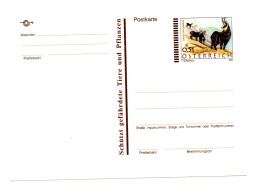 Österreich, 2002, Ungebr. Postkarte Mit Eingedr. 0,51EUR Frankatur (15392W) - Cartes Postales