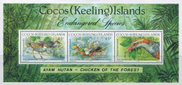 Cocos Islands 1992 SG269 Buff-banded Rail MS MNH - Cocos (Keeling) Islands