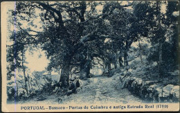 X127208 PORTUGAL COIMBRA BUSSACO PORTAS DE COIMBRA E ANTIGA ESTRADA REAL ( 1780 ) - Coimbra