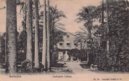 Barbados - BRIDGETOWN - Codrington College - SEE SCANS FOR CONDITION - Publ. Knight & Co. 28 - Barbados (Barbuda)