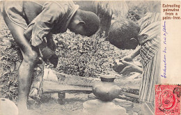 Ghana - Extracting Palmwine From A Palm-tree - Publ. Basel Mission Book Depot 18 - Ghana - Gold Coast