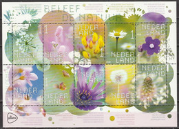 Nederland NVPH 3632-41 Vel Beleef De Natuur Veldbloemen 2018 MNH Postfris - Nuevos