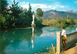 MARINA DI MASSA - Massa