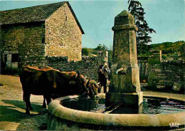 Animaux - Vaches - Auvergne - L'Abreuvoir - Paysans - Carte Neuve - CPM - Voir Scans Recto-Verso - Cows