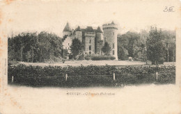 43 BRIOUDE CHÂTEAU DE CHABRUGES - Brioude