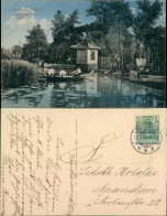 Neudamm (Neumark) Dębno Seepartie - Schwanenhaus, Ruderboot 1913  - Pommern