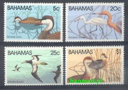 Bahamas 1981 Mi 482-485 MNH  (ZS2 BHM482-485) - Marine Web-footed Birds