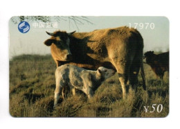 Vache Cow Animal Télécarte  Chine  China Phonecard  ( TA 250) - China