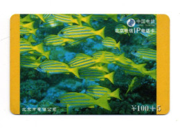 Poisson Fish Télécarte Chine  China Phonecard  ( A 251) - China