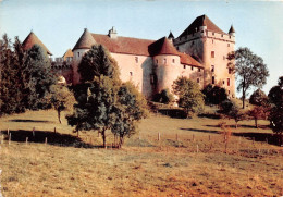 Environs De LONS LE SAUNIER Le Chateau Du Pin 14(scan Recto-verso) MA359 - Lons Le Saunier
