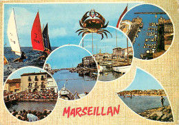 34* MARSEILLAN  Multivues  CPM (10x15cm)                MA69-1058 - Marseillan