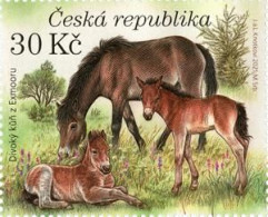 1129 Czech Republic Milovice 2021 Exmore Horse - Horses