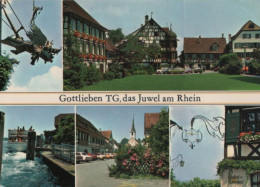 91558 - Schweiz - Gottlieben - 5 Teilbilder - Ca. 1980 - Other & Unclassified