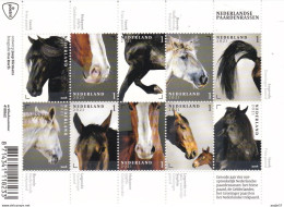 Nederland Pays Bas 2021 Nederlandse Paardenrassen Dutch Horse Breeds MNH** - Horses