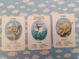 3 CARTES JEU DES 7 FAMILLES MOUSLINE LYNX / PINGOUIN MACAREUX - Animals