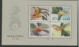 CHINA PRC - 1995-6 Mi Niature Sheet. MNH. - Nuevos