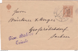Austria Österreich AUTRICHE -Streifband 1907 (?) Triest - Grofzroshdorf Sachsen - Bandas Para Periódicos