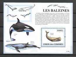 Comoros 2009 Marine Mammals - Whales MS MNH - Balene