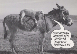ESEL Tier Vintage Ansichtskarte Postkarte CPSM #PBR918.A - Donkeys
