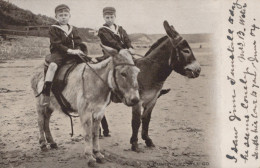 DONKEY Animals Children Vintage Antique Old CPA Postcard #PAA076.A - Donkeys