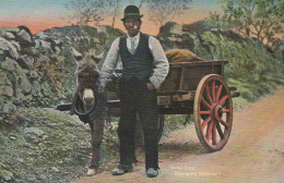 ASINO Animale Vintage CPA Cartolina #PAA086.A - Donkeys