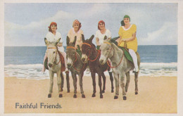 ESEL Tiere Vintage Antik Alt CPA Ansichtskarte Postkarte #PAA062.A - Donkeys