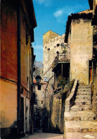 06 - Roquebrune Cap Martin - Vue Sur Le Château Depuis Le Vieux Village - Roquebrune-Cap-Martin