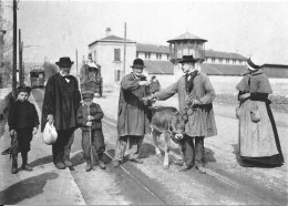 Il était Une Fois L'Auvergne - Le Patche Du Veau  - Editeur ARSENE Et DEMO - SAUGUES - Auvergne