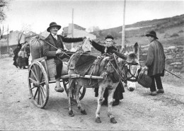 Il était Une Fois L'Auvergne - Le Vieux Commissionnaire Du Village   - Editeur ARSENE Et DEMO - SAUGUES - Auvergne