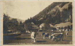 Schwarzwald, Posthalde, Höllental - Höllental