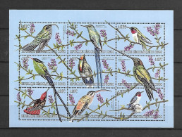 Congo 2000 Birds - Hummingbirds Sheetlet MNH - Nuovi