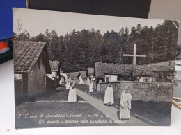 Cartolina S.Eremo Dei Camaldoli Provincia Arezzo,gli Eremiti Si Avviano Alla Preghiera In Comune 1960 - Arezzo