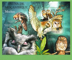 MOÇ1319- MOÇAMBIQUE 2011- MNH_ MOCHOS - CORUJAS _ AVES - Uilen