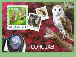 MOÇ1320- MOÇAMBIQUE 2014- MNH_ MOCHOS - CORUJAS _ AVES - Uilen