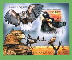 MOÇ1324- MOÇAMBIQUE 2011- MNH_ ÁGUIAS - FALCÕES_ AVES - Adler & Greifvögel