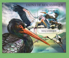 MOÇ1326- MOÇAMBIQUE 2011- MNH_ CEGONHAS_ AVES - Ooievaars