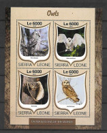 Sierra Leone 2016 Fauna And Flora Of The World - Birds - Owls MS #1 MNH - Uilen