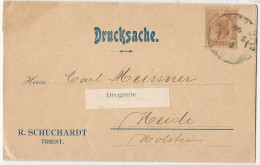 Österreich Austria Mi.S6 Streifbänder Wrapper Newspaper Used 1906 Printed Matter Trieste - Bandas Para Periódicos
