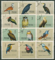 Polen 1960 Tiere Vögel 1197/08 Gestempelt - Usados