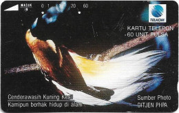 Indonesia - Telkom Indonesia (Tamura) - Cenderawasih Kuning Kecil Bird, 11.1993, 60Units, 100.000ex, Used - Indonesia