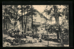 AK Dresden-Pillnitz, Gasthaus Borsberg - Gartenansicht  - Pillnitz