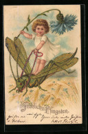 Lithographie Kleinkind Mit Kornblume Auf Einem Grashüpfer, Pfingstgruss  - Insects