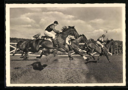 AK Reiter Im Sprung Bei Einem Rennen  - Paardensport