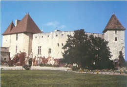 Aigueperse - Chateau De La Roche    Y 91 - Aigueperse