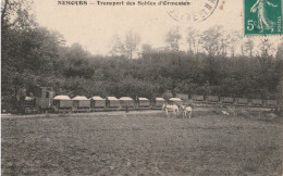 77 CPA NEMOURS TRANSPORT PAR TRAIN CHEMIN DE FER DES SABLES D ORMESSON - Nemours