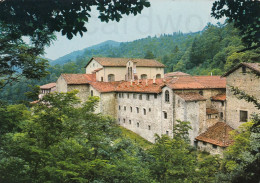 CARTOLINA  ARCHICENOBIO DI CAMALDOLI AREZZO TOSCANA VIAGGIATA 1982   Y13 - Arezzo